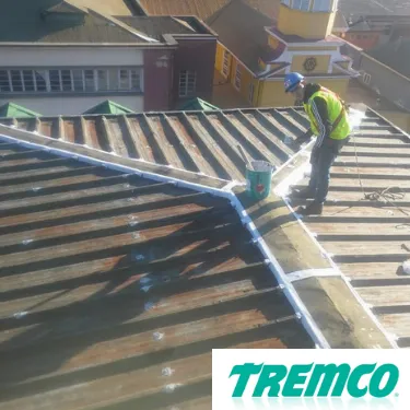 Restauración, reparación, mant de techos - TREMCO: GEOGARD SEAM SEALER