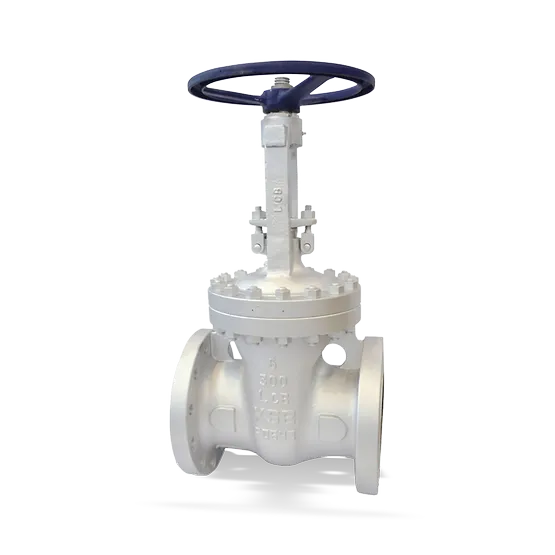 Válvulas de compuerta ANSI/ASME KSB:
ECOLINE GTC 150-600