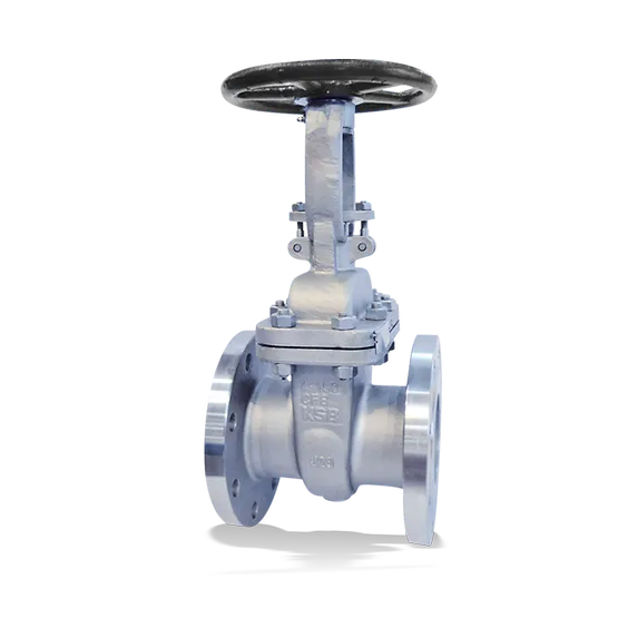 Válvulas de compuerta ANSI/ASME KSB:
ECOLINE GTV 150-600