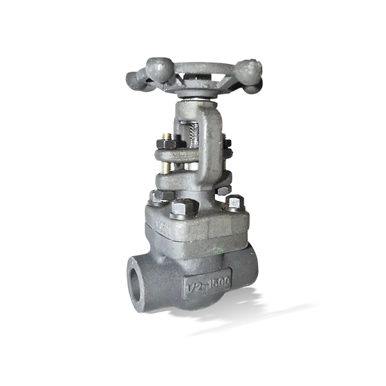 Válvulas de compuerta ANSI/ASME KSB:
ECOLINE GTF 800