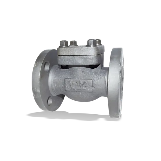 Válvulas de retención ANSI/ASME: ECOLINE PTF 150-600