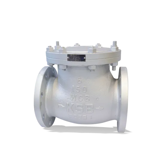 Válvulas de retención ANSI/ASME:ECOLINE SCC 150-600